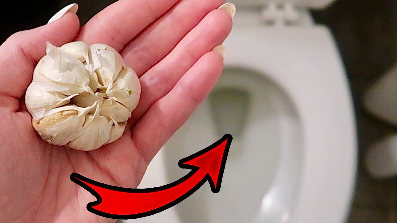 Mettere l'aglio nel wc