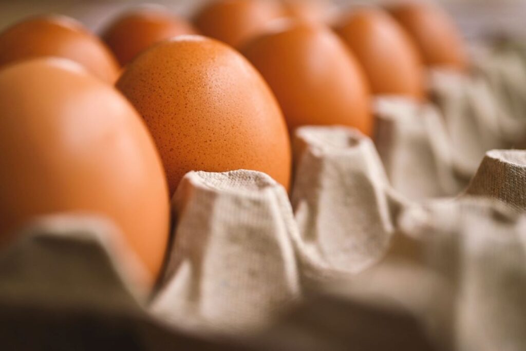 uova vanno tenute in frigo
