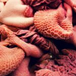 Cibo dannoso per la flora batterica intestinale, rappresentato in un piatto colorato.