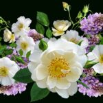 Bordura fiorita fai da te con piante colorate e rigogliose in un giardino soleggiato.