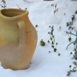 Giardino in preparazione invernale, con piante potate e foglie raccolte.