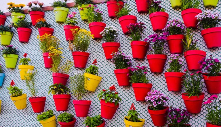 Giardino verticale fai da te: ecco come crearlo con materiali di riciclo