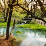Oasi naturale laziale con vegetazione lussureggiante e specchi d'acqua cristallina.